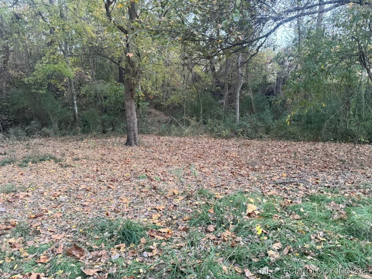 501 Lee Property Photo 14