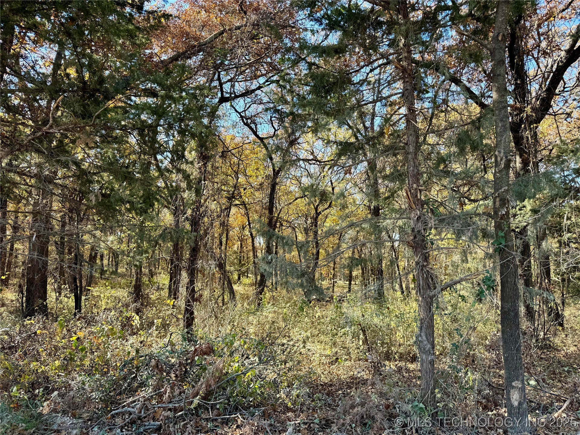 4863 Cobb Property Photo 2