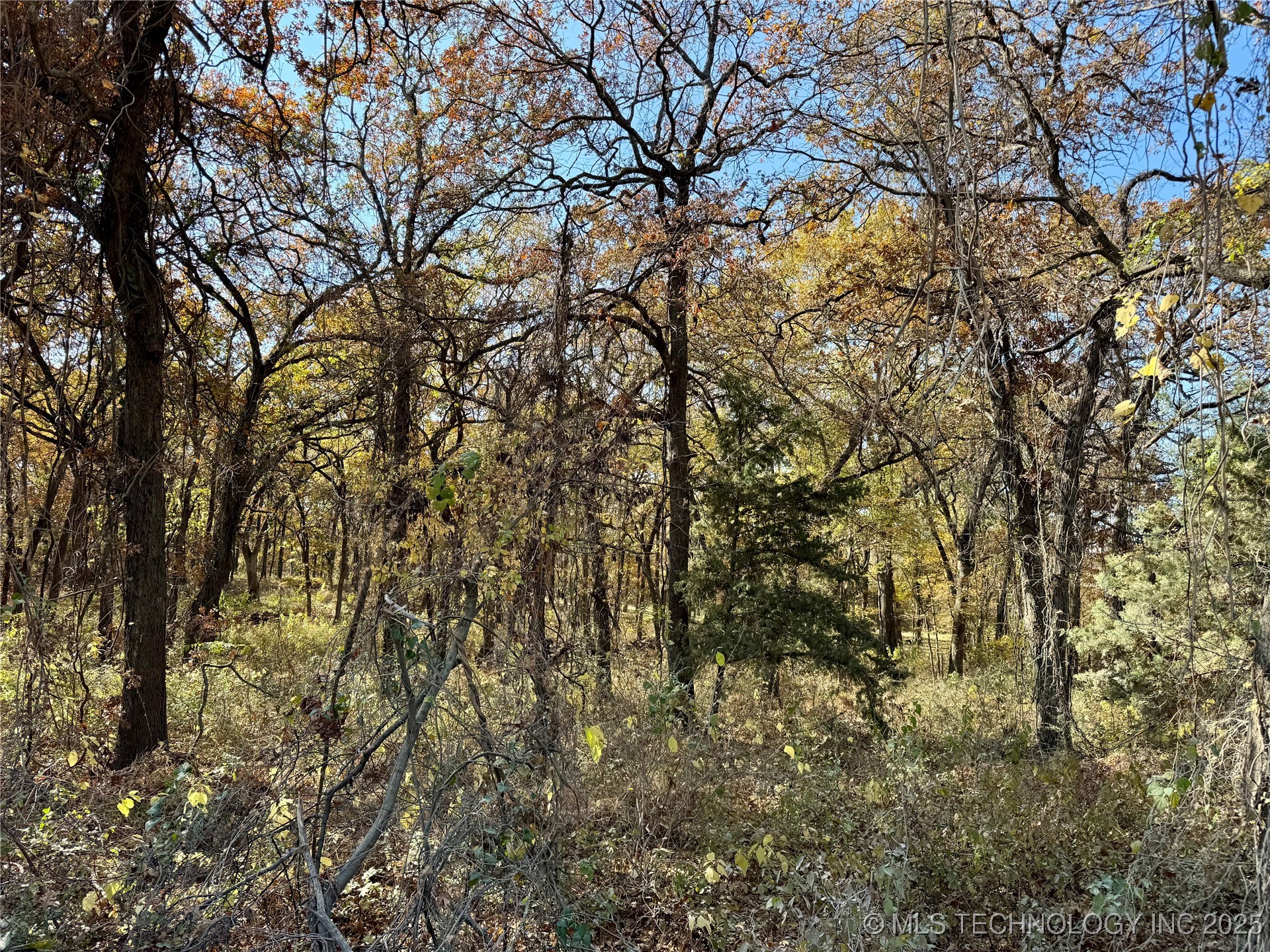 4863 Cobb Property Photo 3