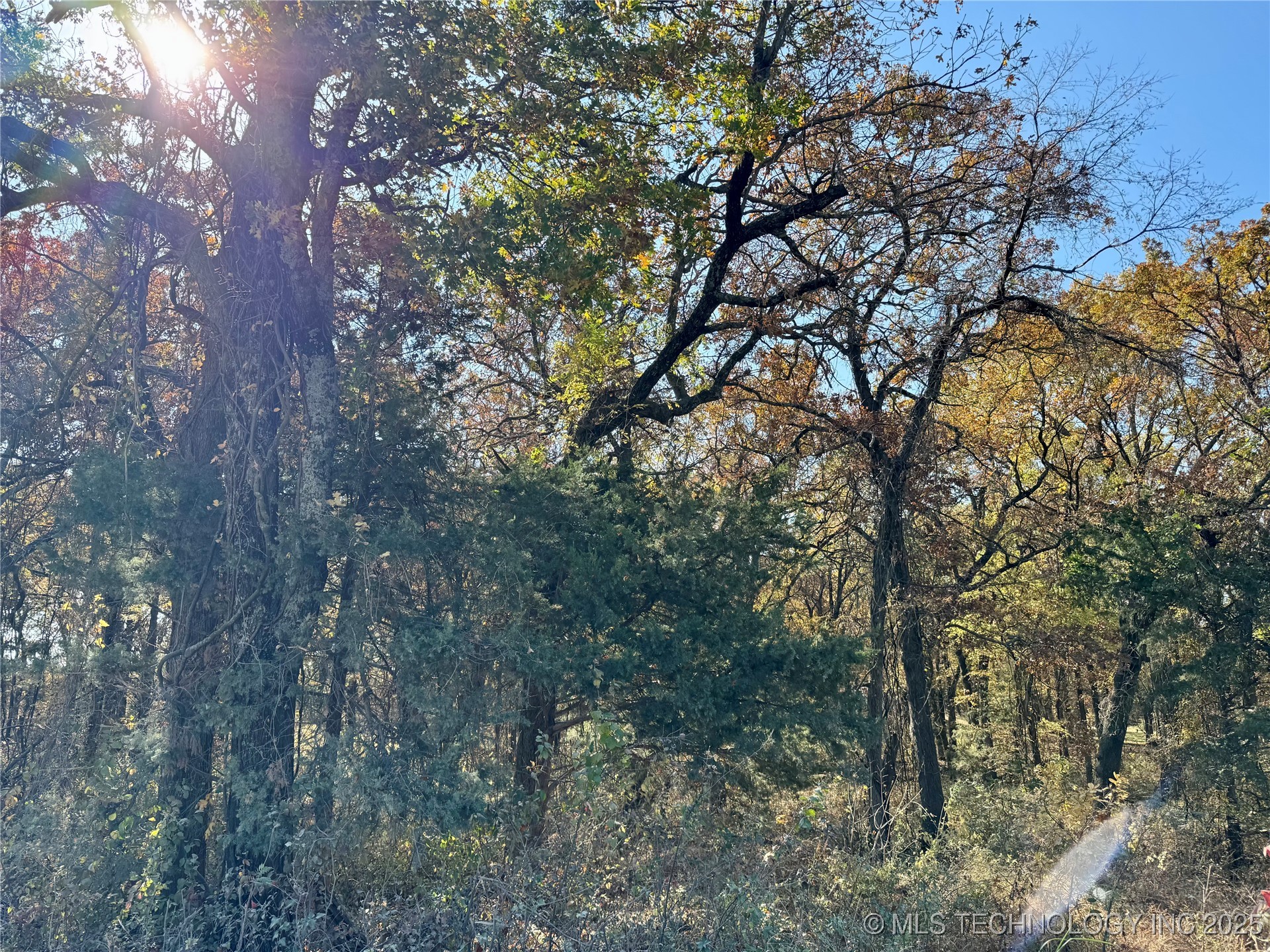 4863 Cobb Property Photo 4