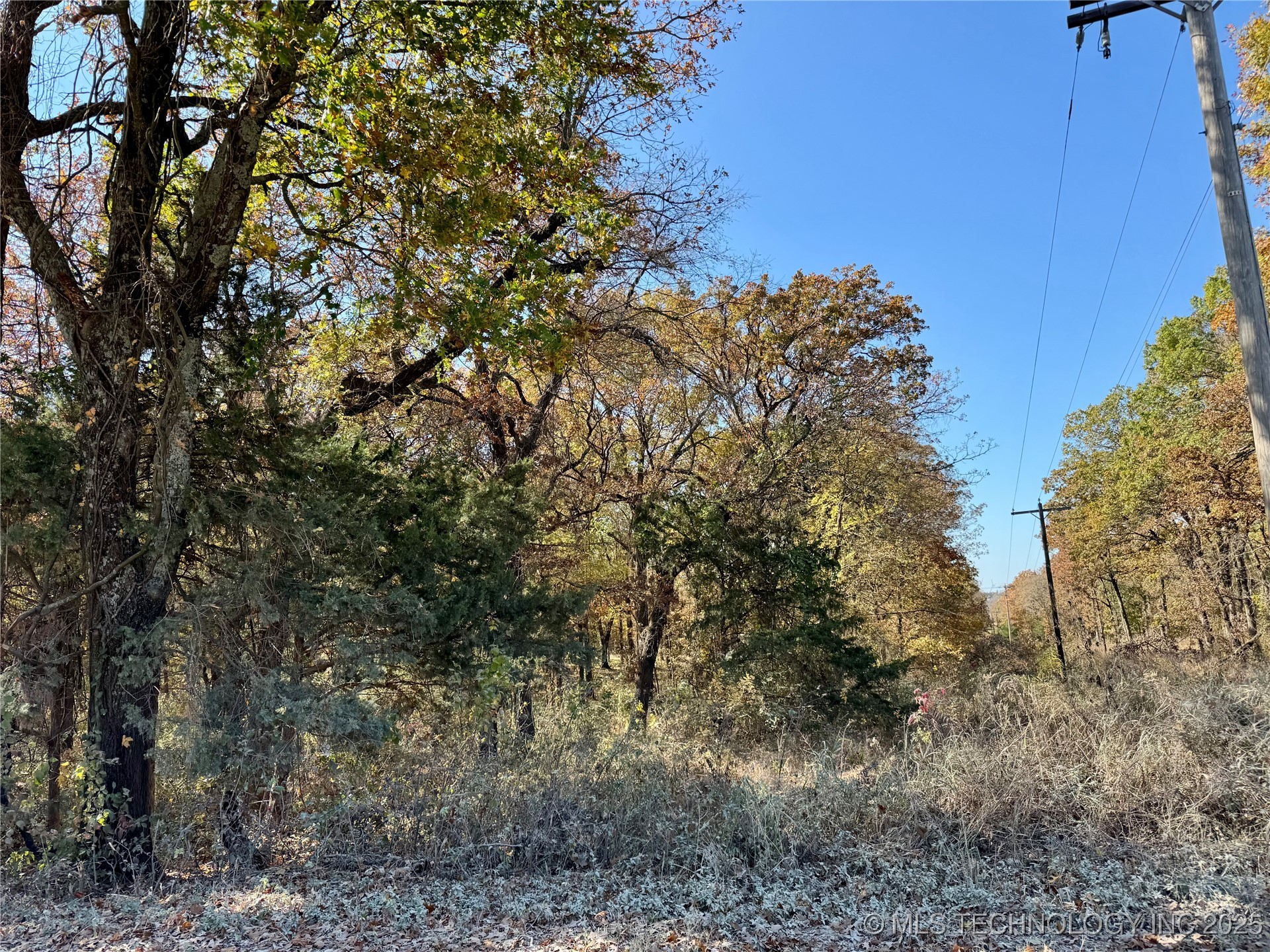 4863 Cobb Property Photo 5