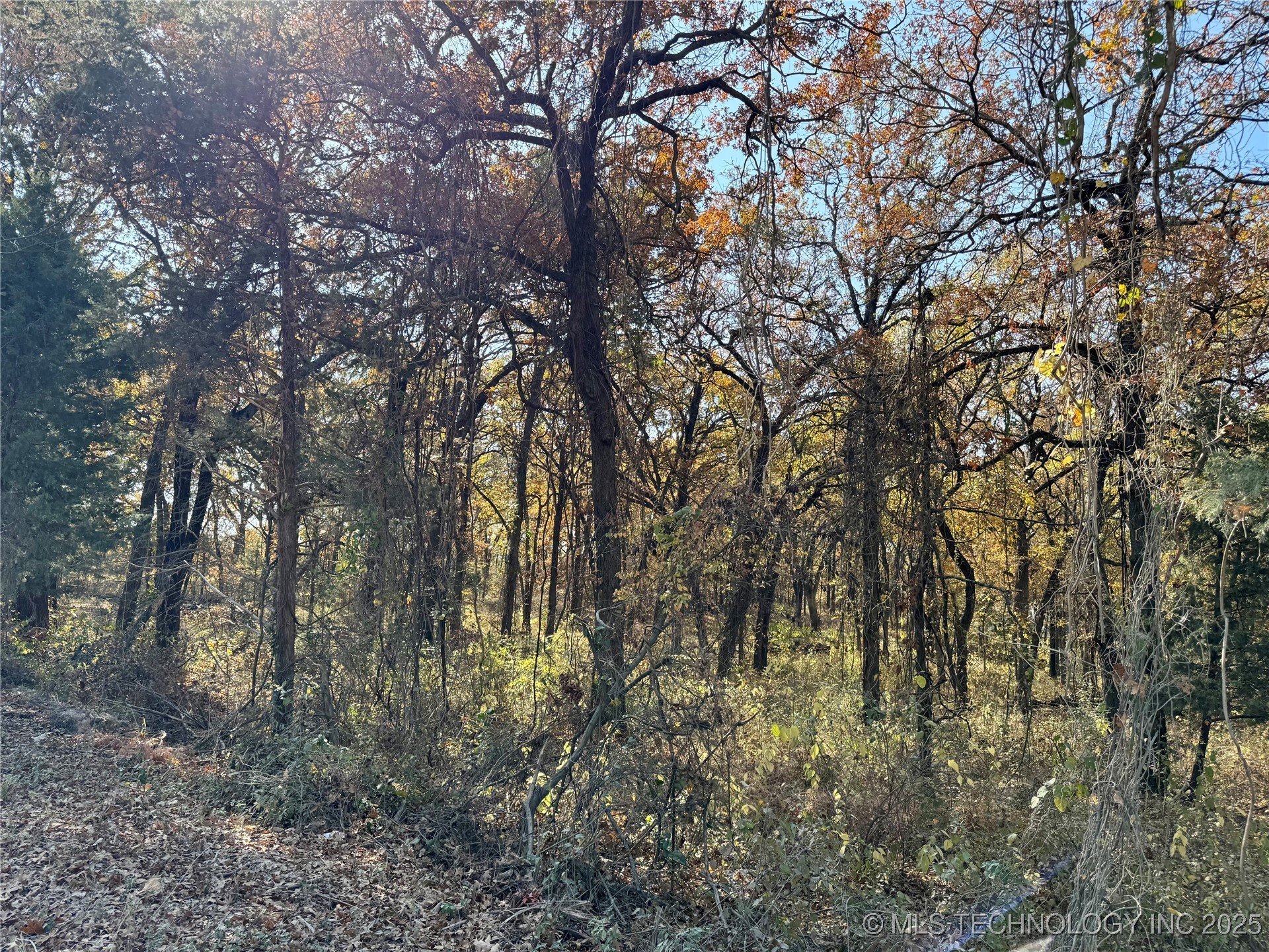 4863 Cobb Property Photo 6