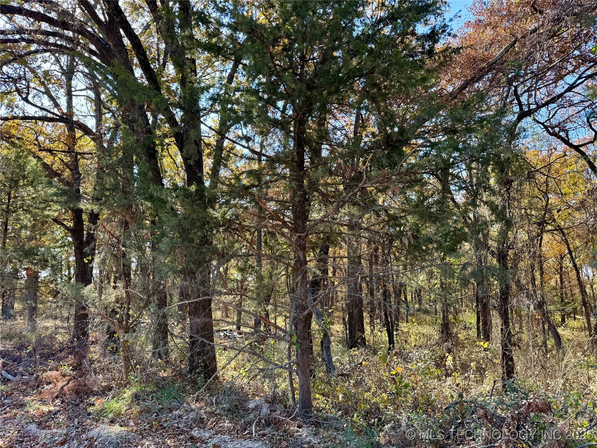 4863 Cobb Property Photo 7