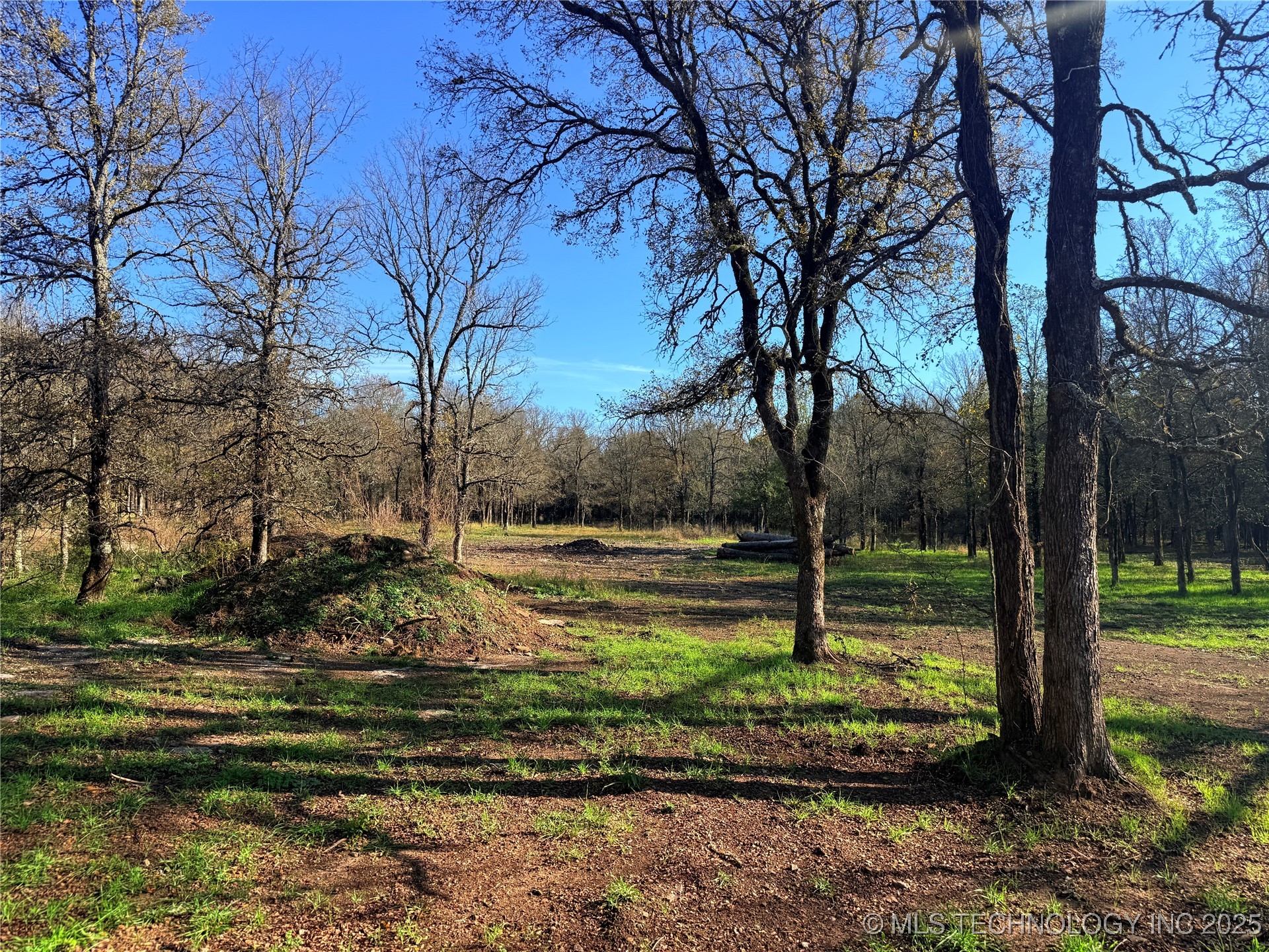 Hickory Property Photo 5