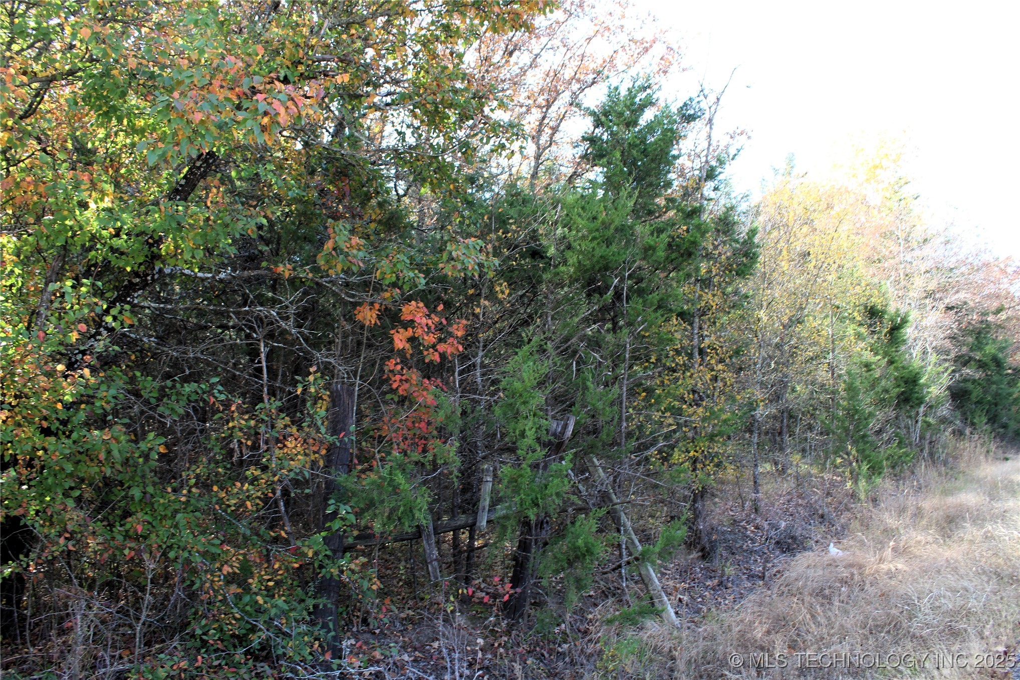 Red Lake Road Property Photo 4