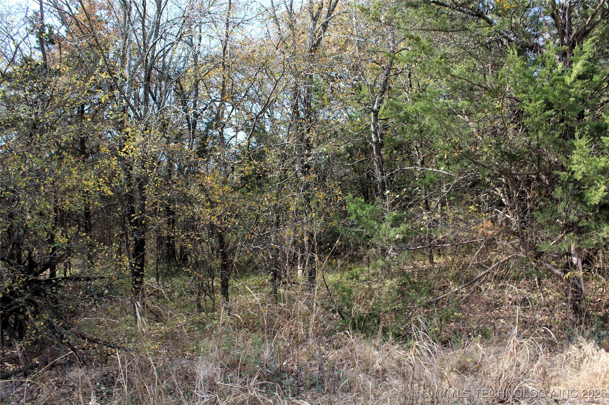 Red Lake Road Property Photo 5