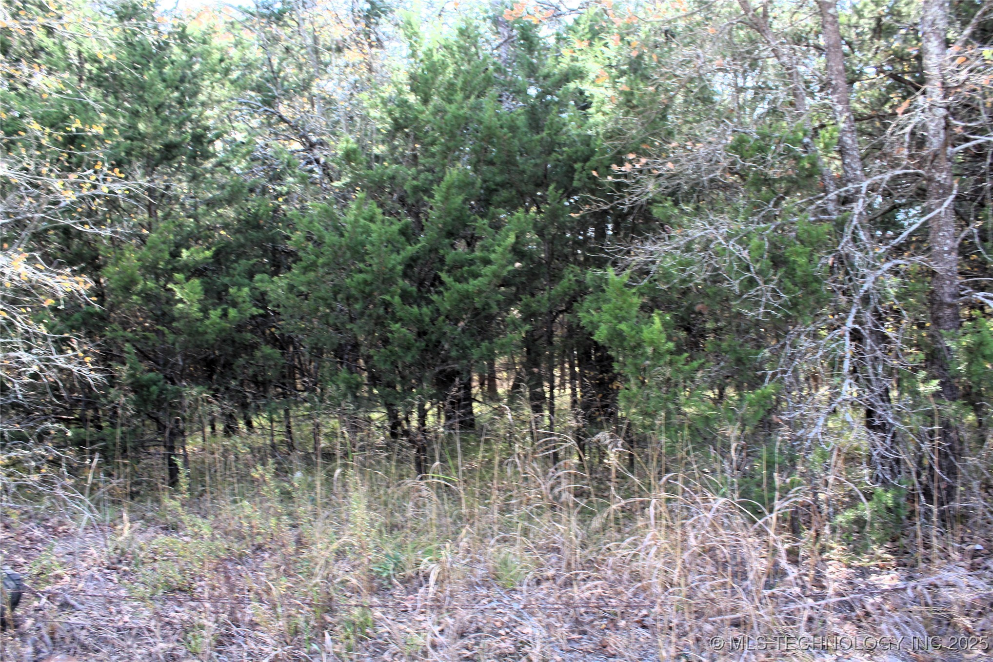 Red Lake Road Property Photo 6