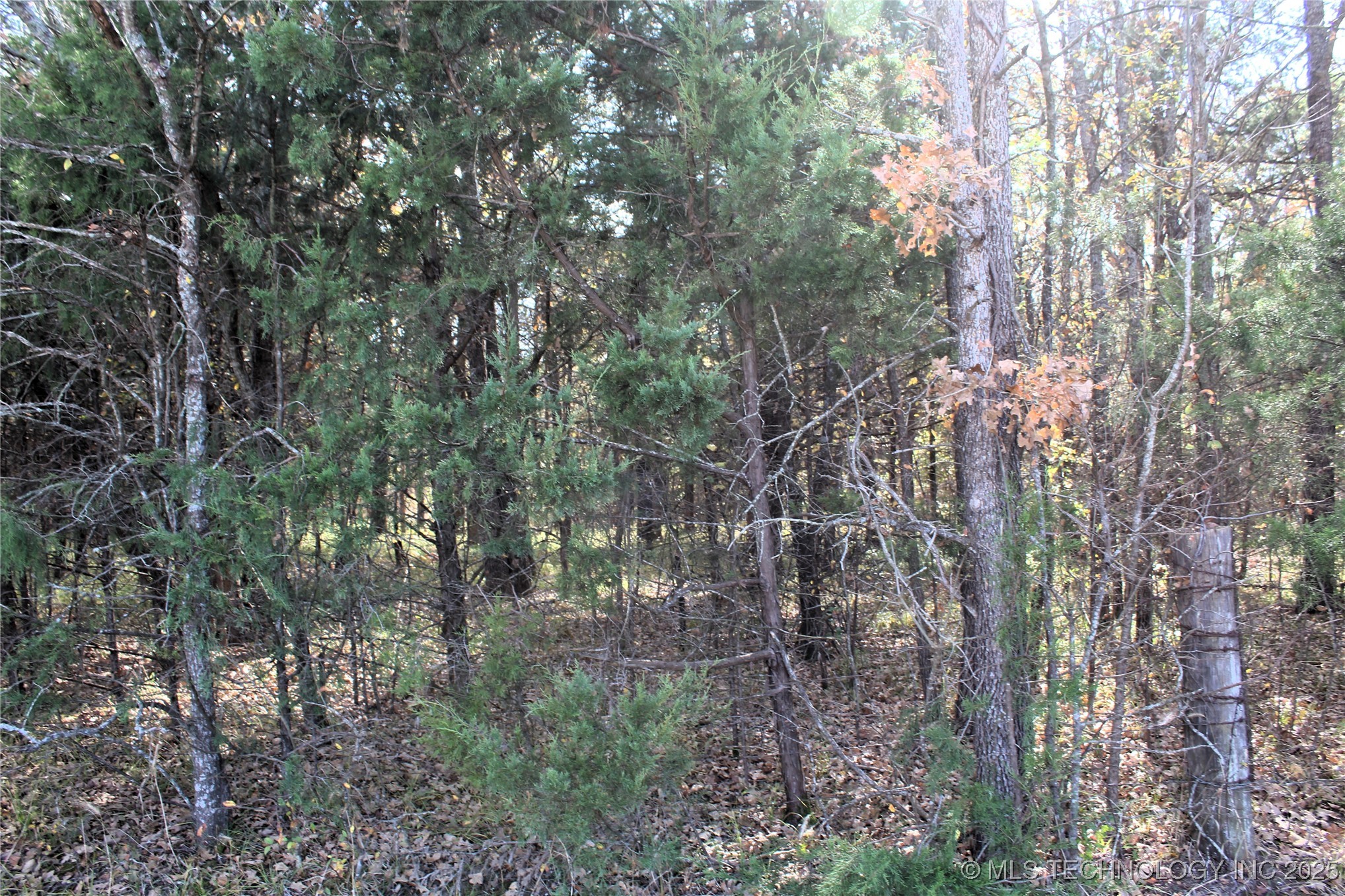 Red Lake Road Property Photo 7