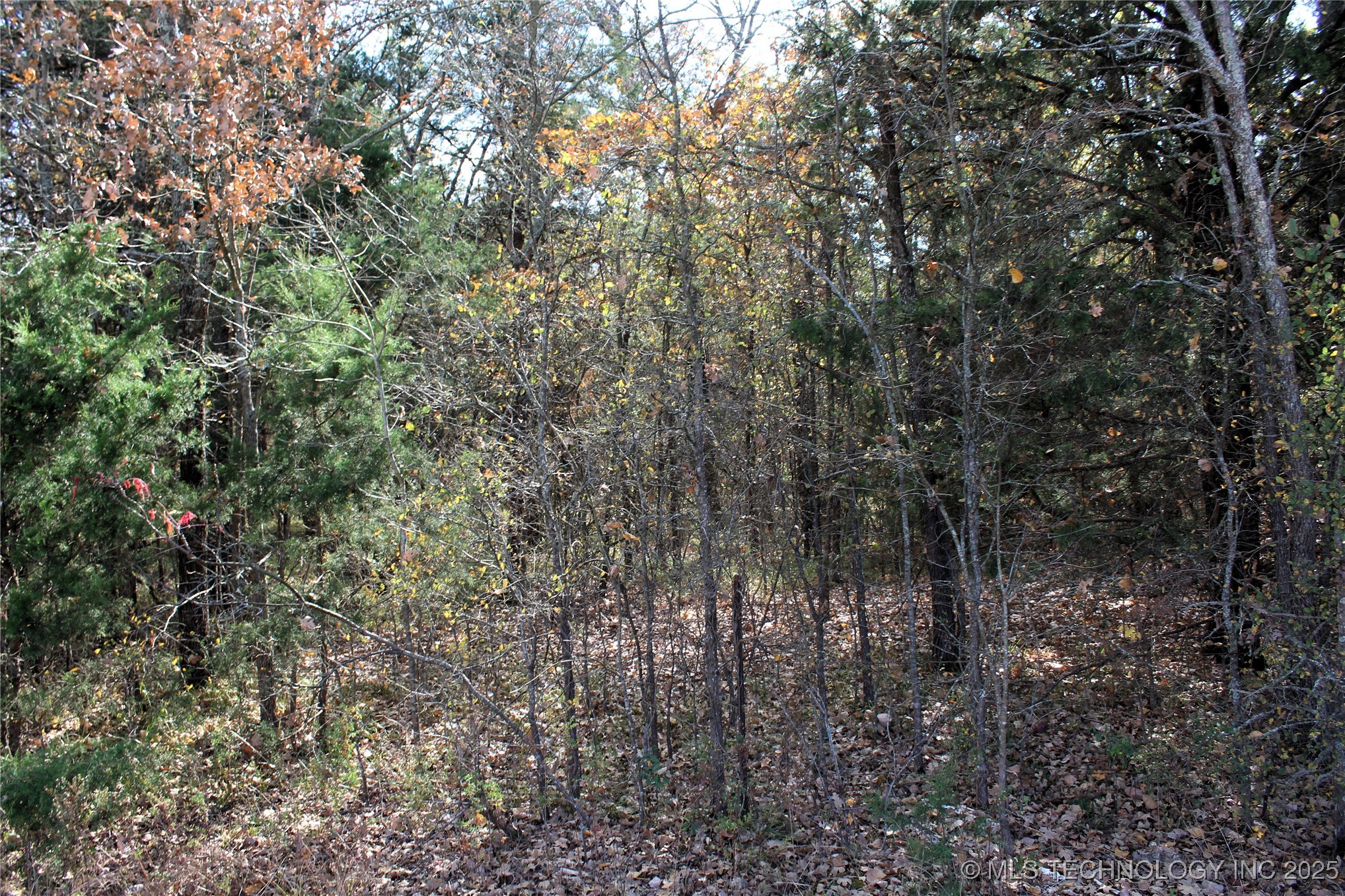 Red Lake Road Property Photo 8