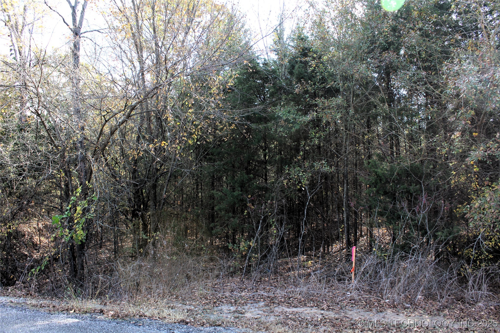 Red Lake Road Property Photo 12