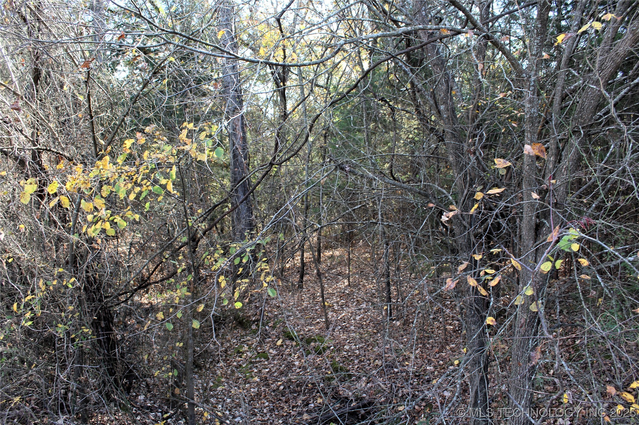 Red Lake Road Property Photo 13