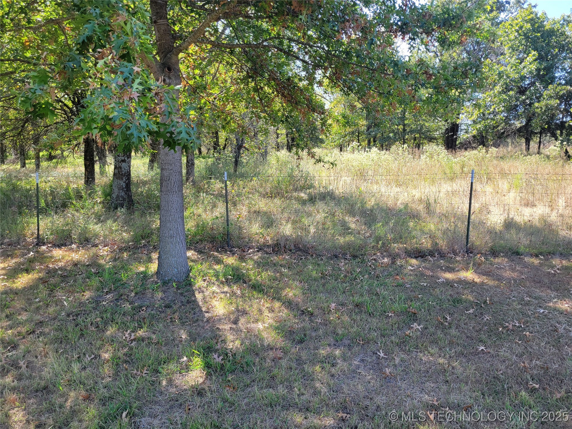 102 James Thomas Property Photo 38