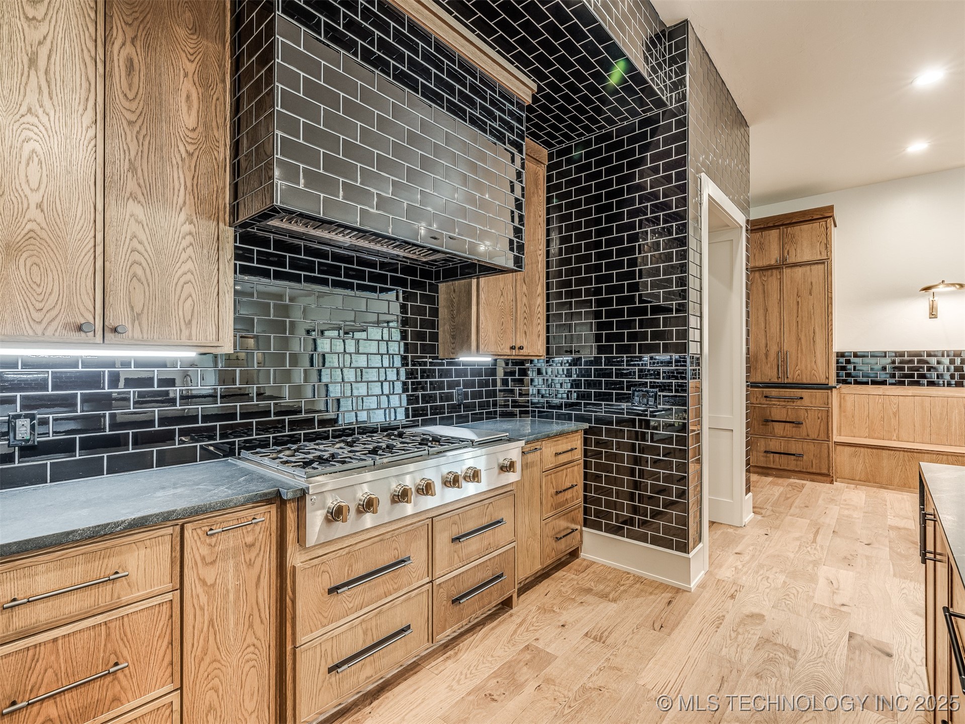 12125 Sunrise Ridge Loop Property Photo 22