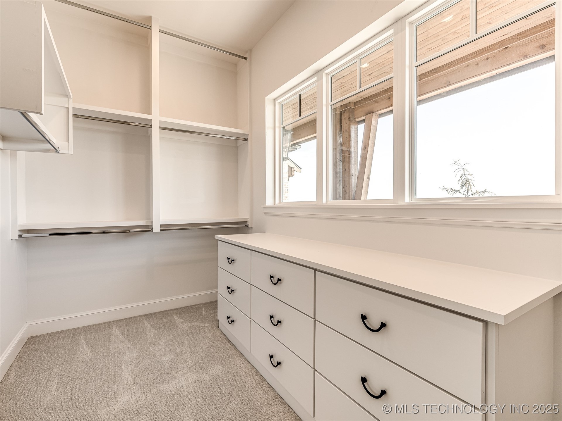 12145 Sunrise Ridge Loop Property Photo 35