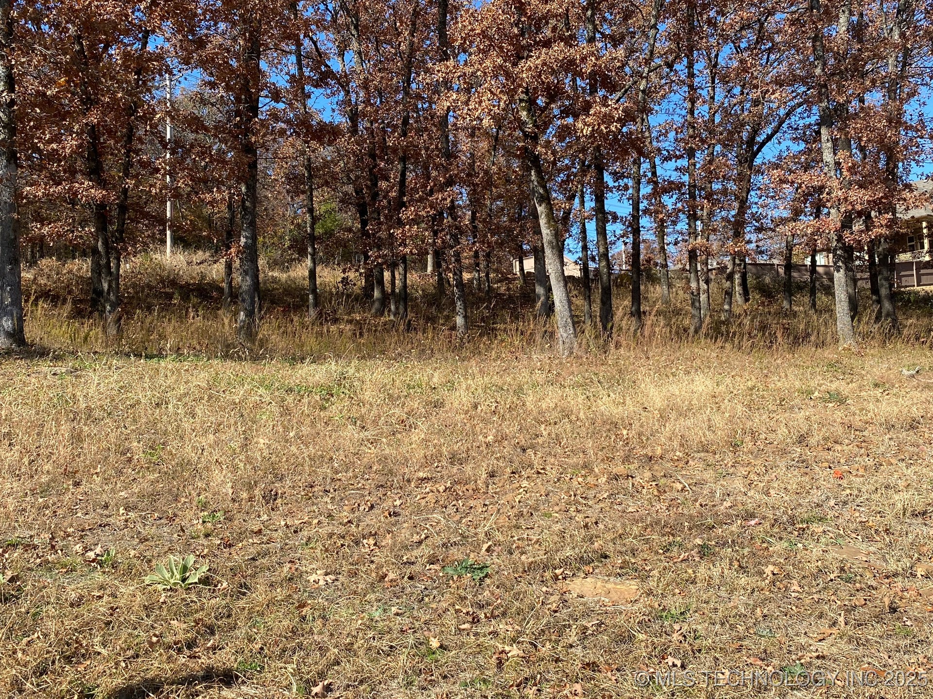 668 Woodlands Drive Property Photo 6