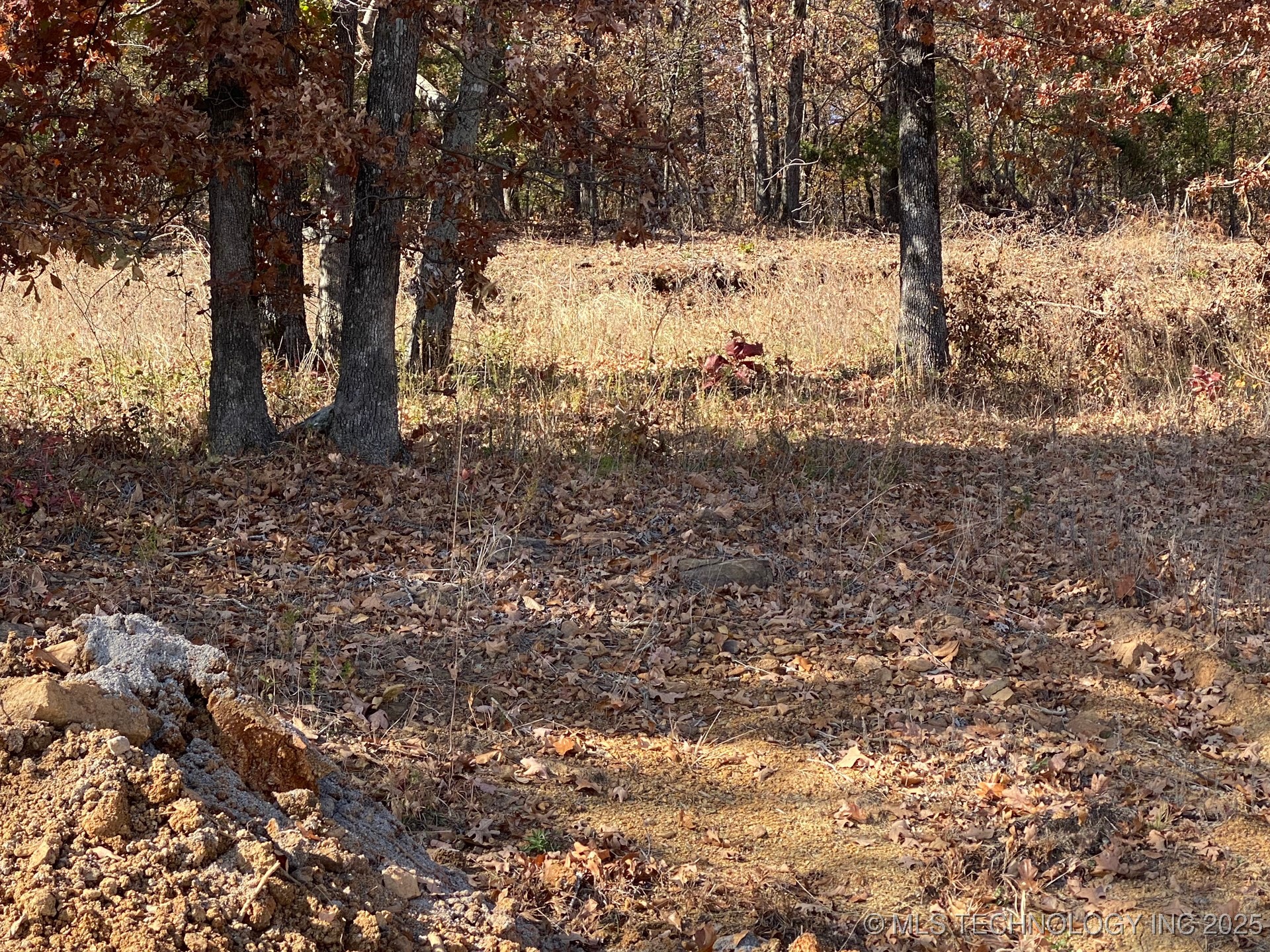 668 Woodlands Drive Property Photo 4