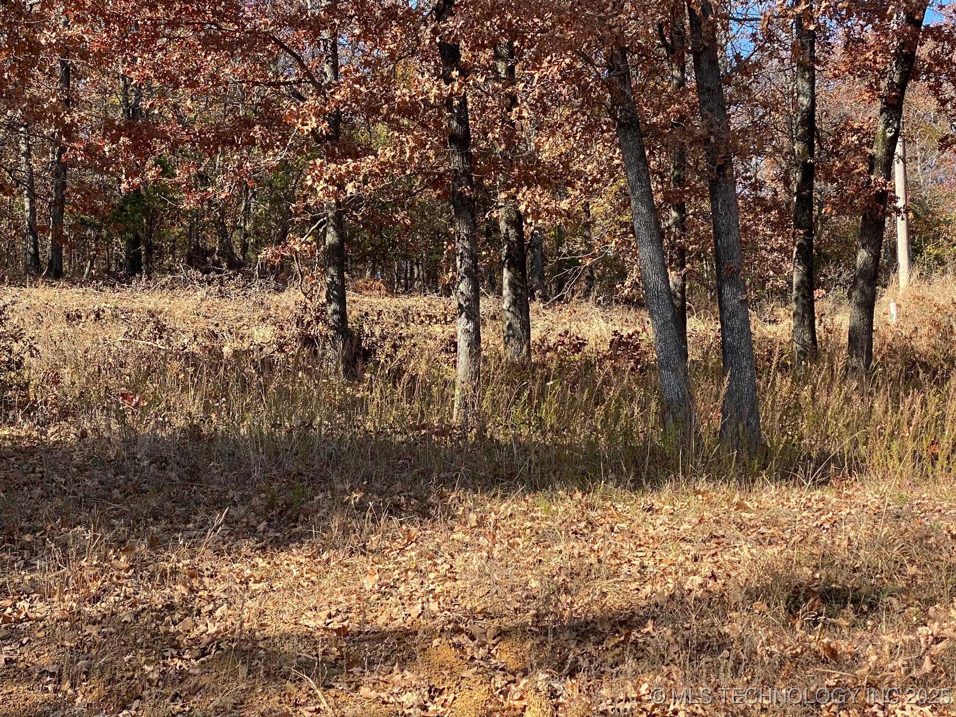 668 Woodlands Drive Property Photo 5