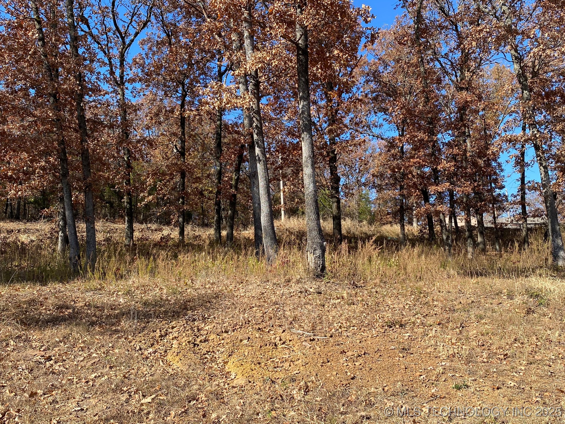 668 Woodlands Drive Property Photo 6