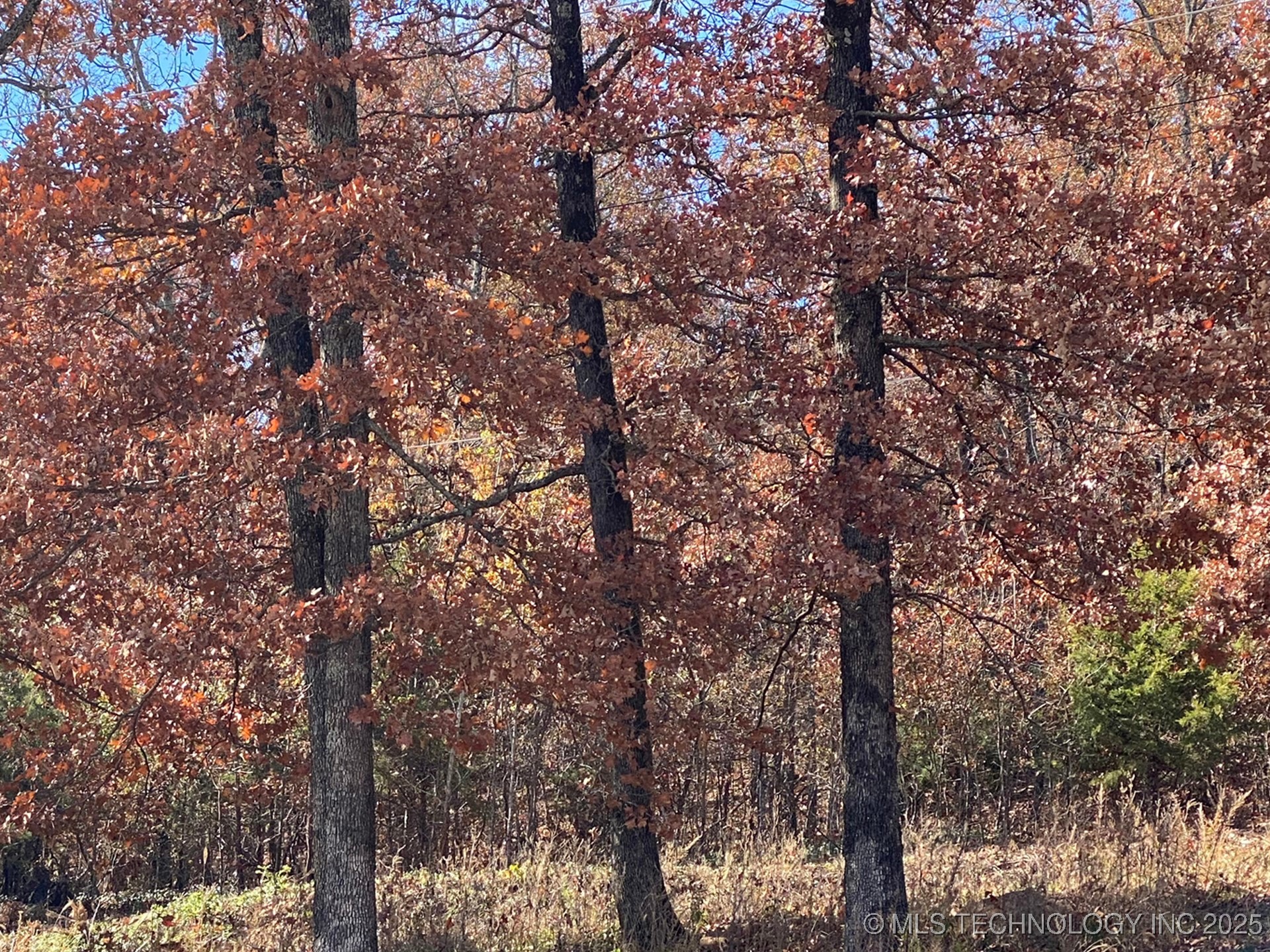 704 Woodlands Drive Property Photo 1