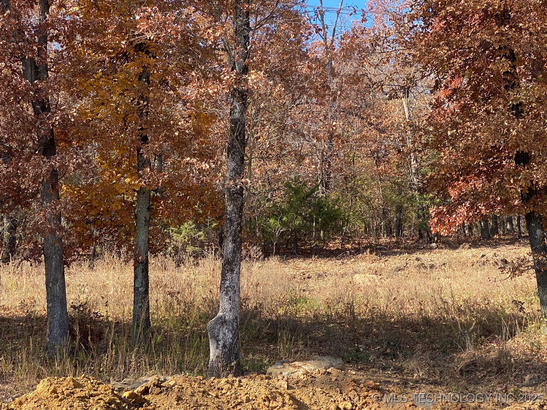 704 Woodlands Drive Property Photo 4