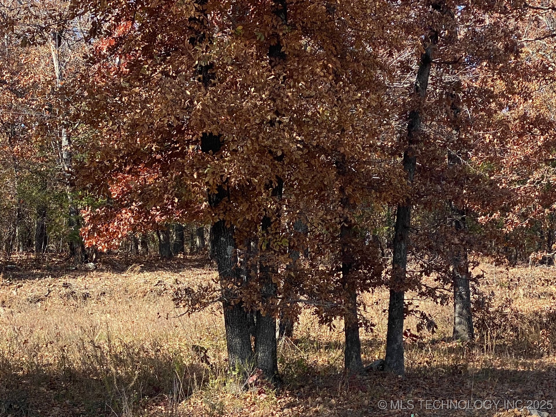 704 Woodlands Drive Property Photo 5