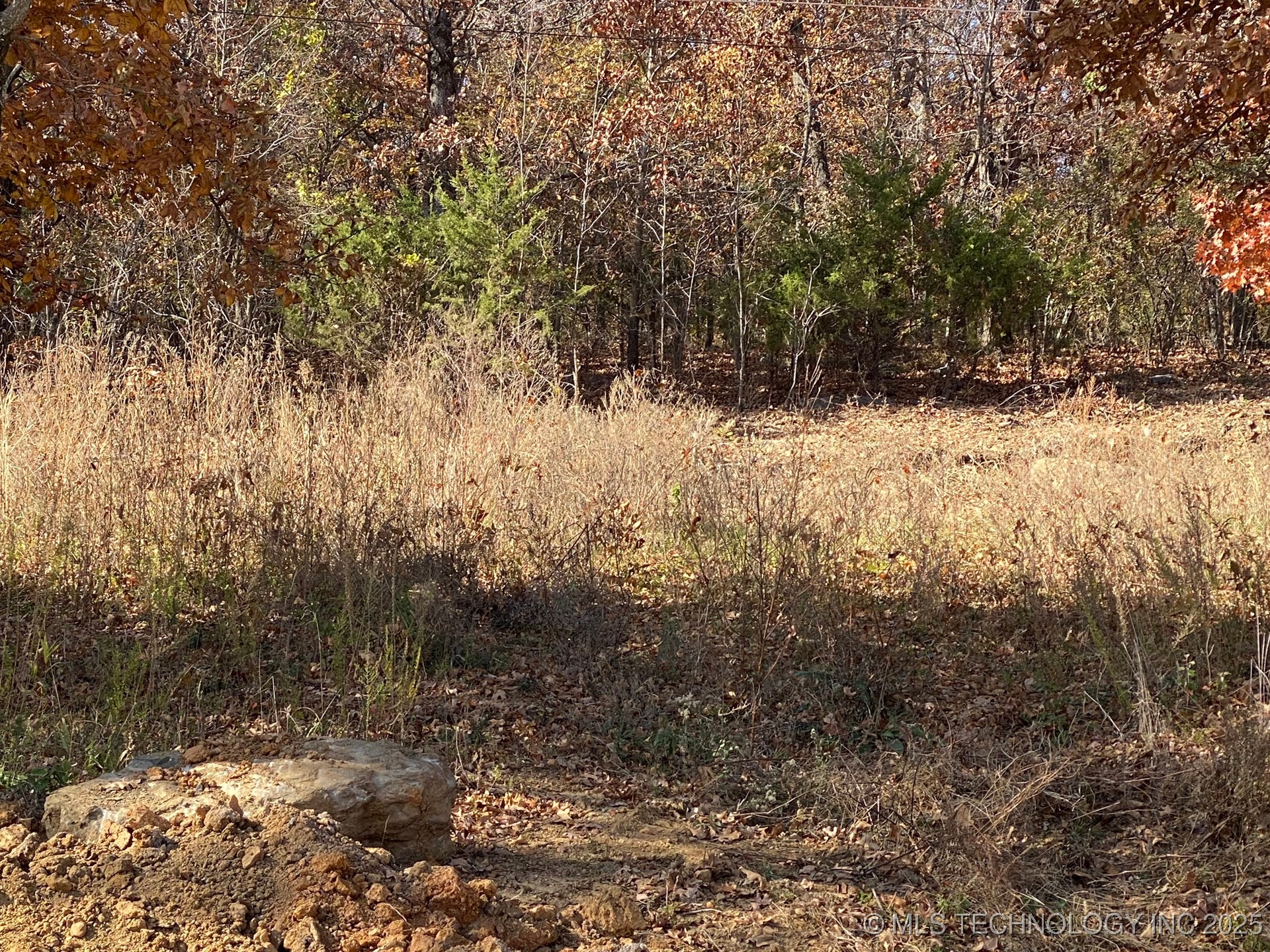 704 Woodlands Drive Property Photo 6