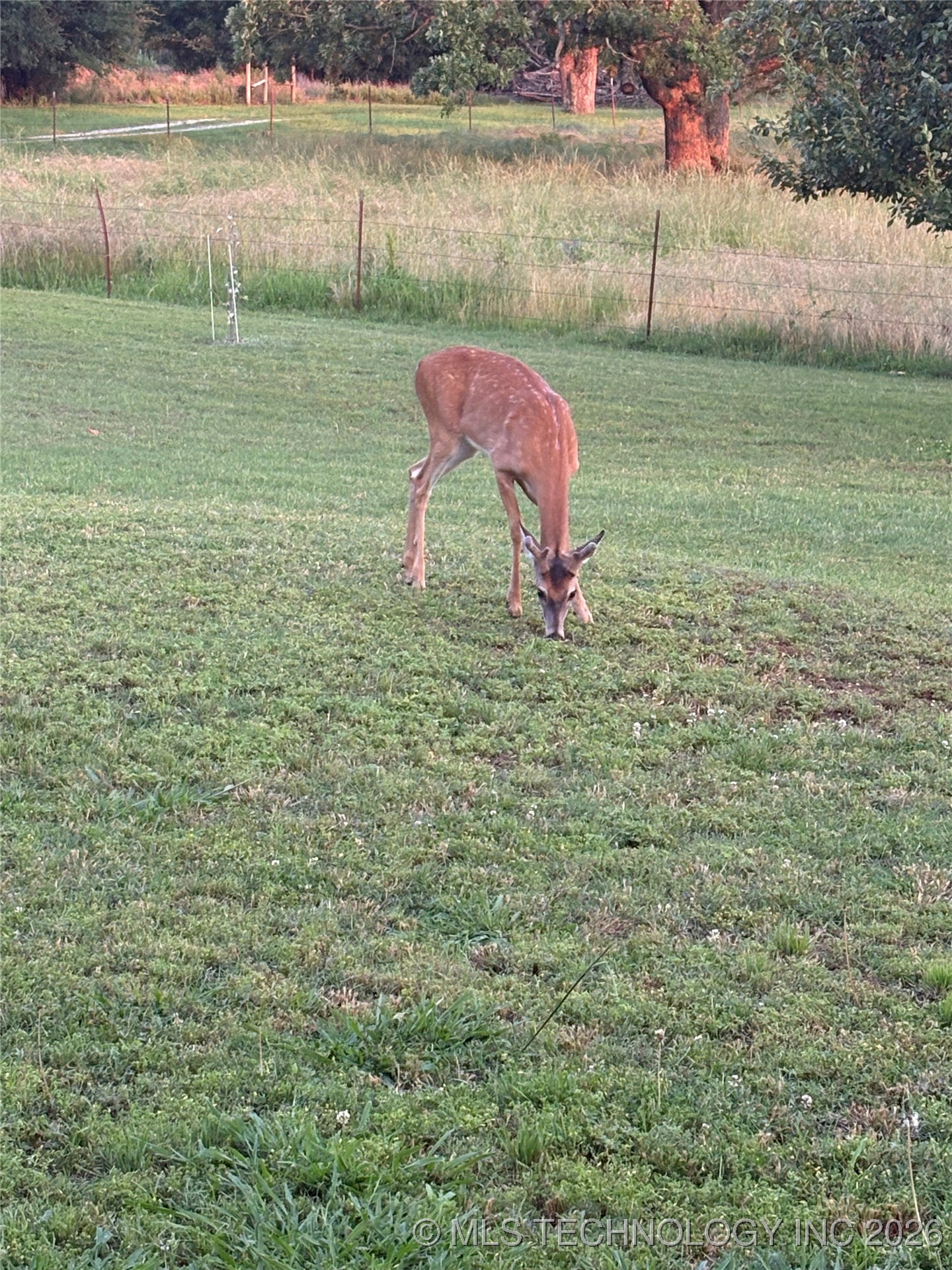 20700 E 420 Road Property Photo 29