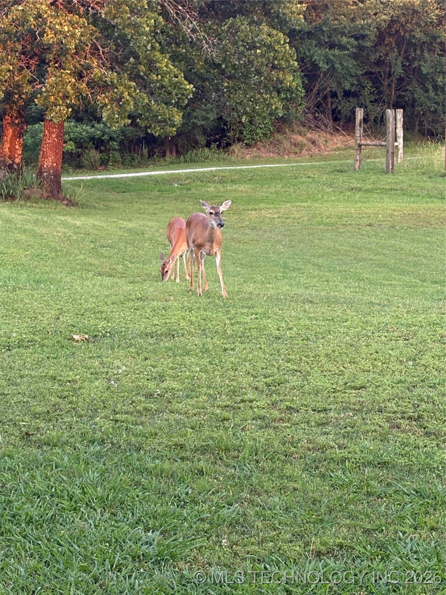 20700 E 420 Road Property Photo 30