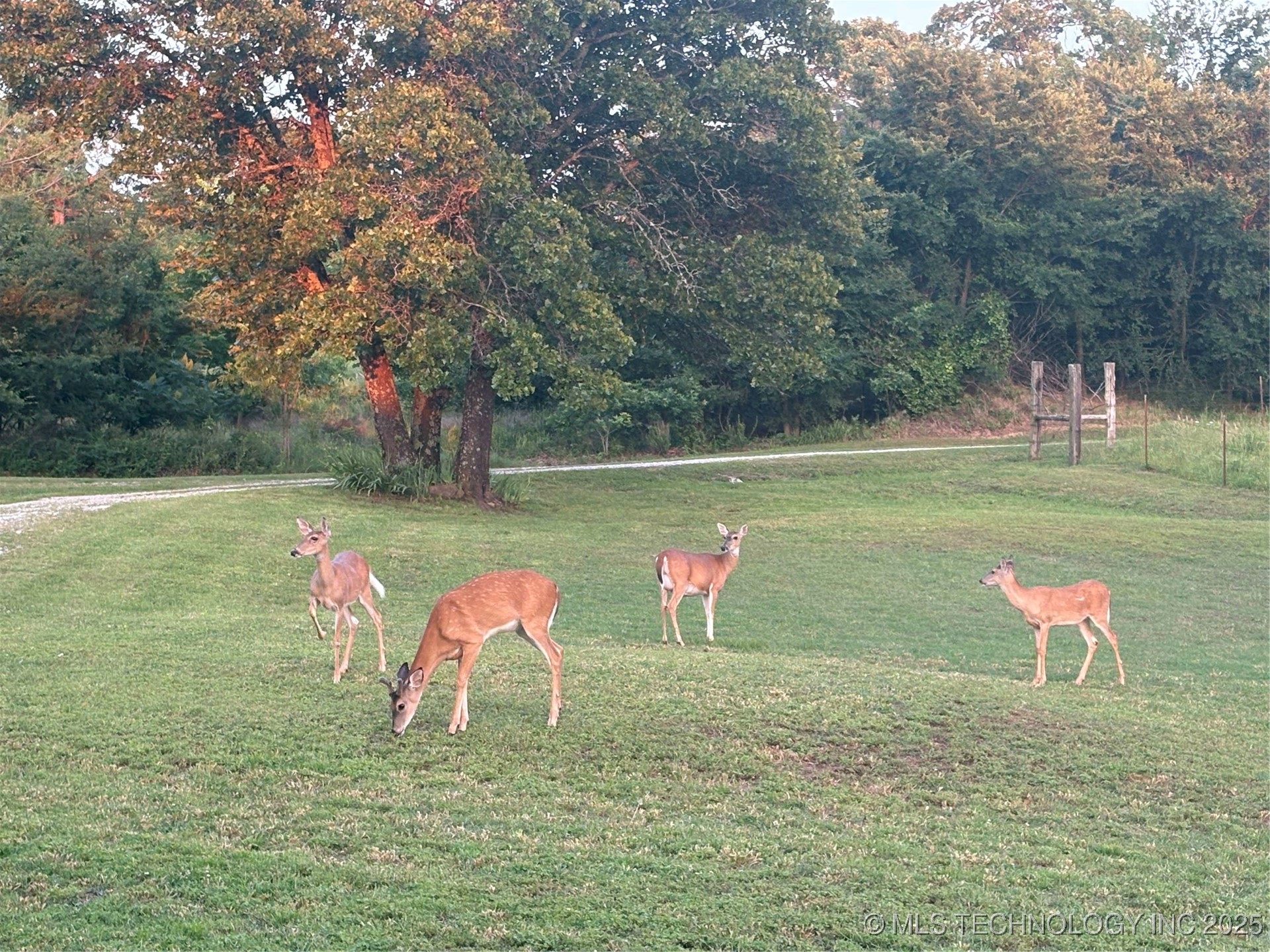 20700 E 420 Road Property Photo 31