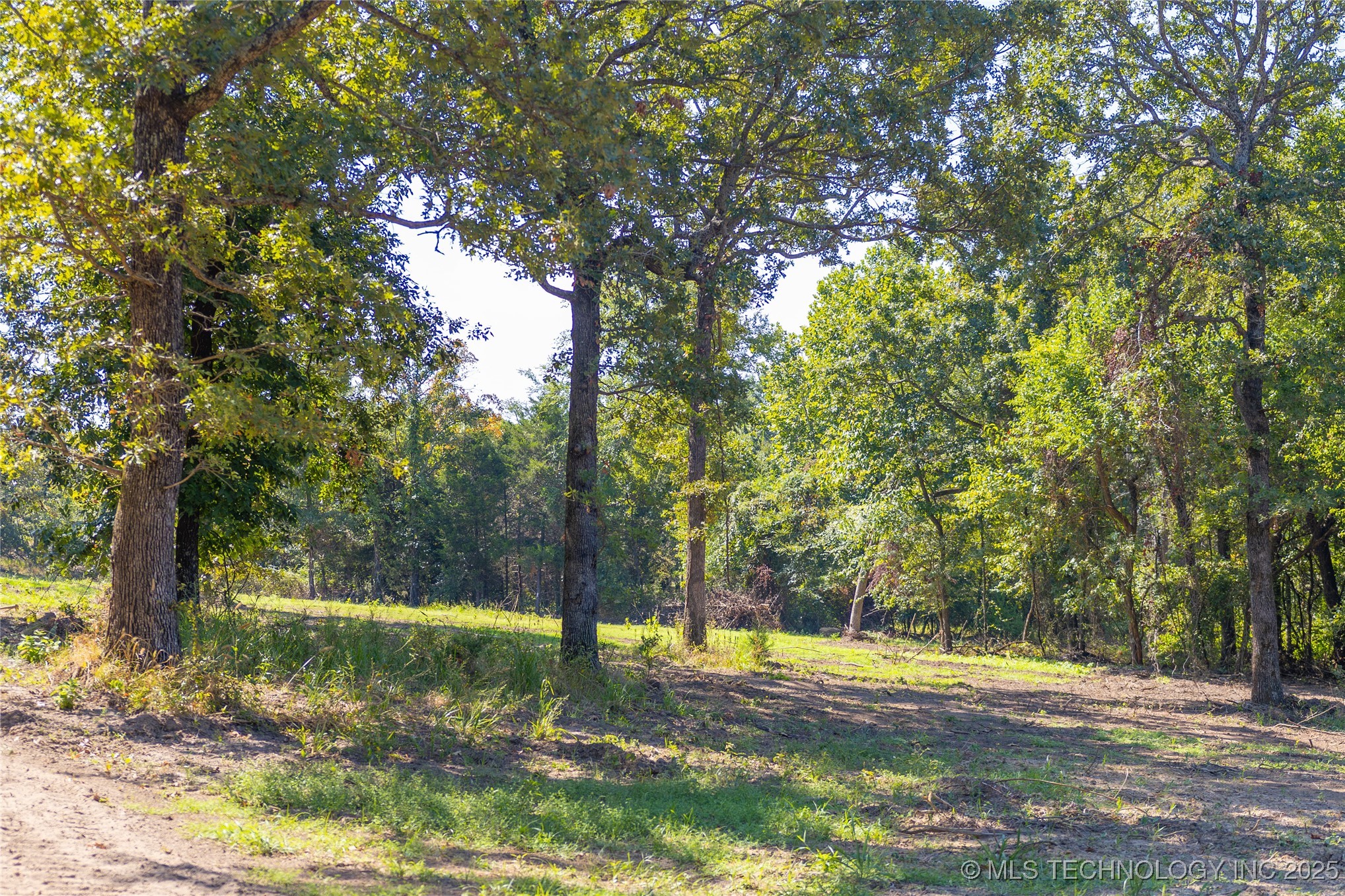 17500 County Road 3762 Property Photo 2