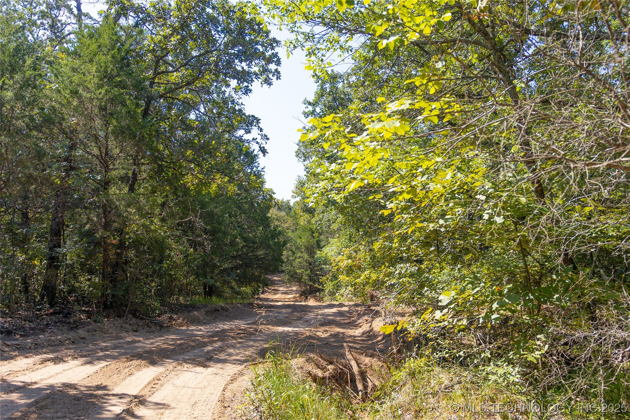 17500 County Road 3762 Property Photo 3