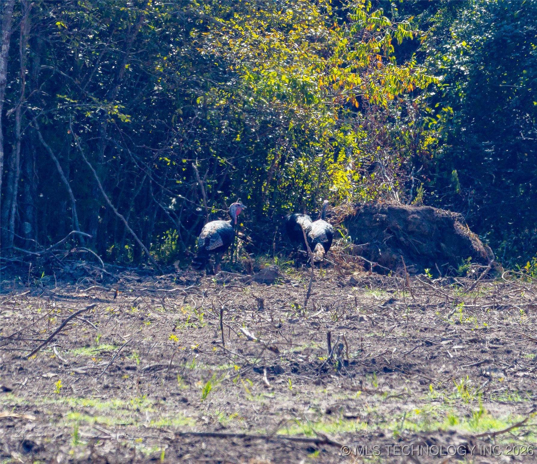 17500 County Road 3762 Property Photo 5