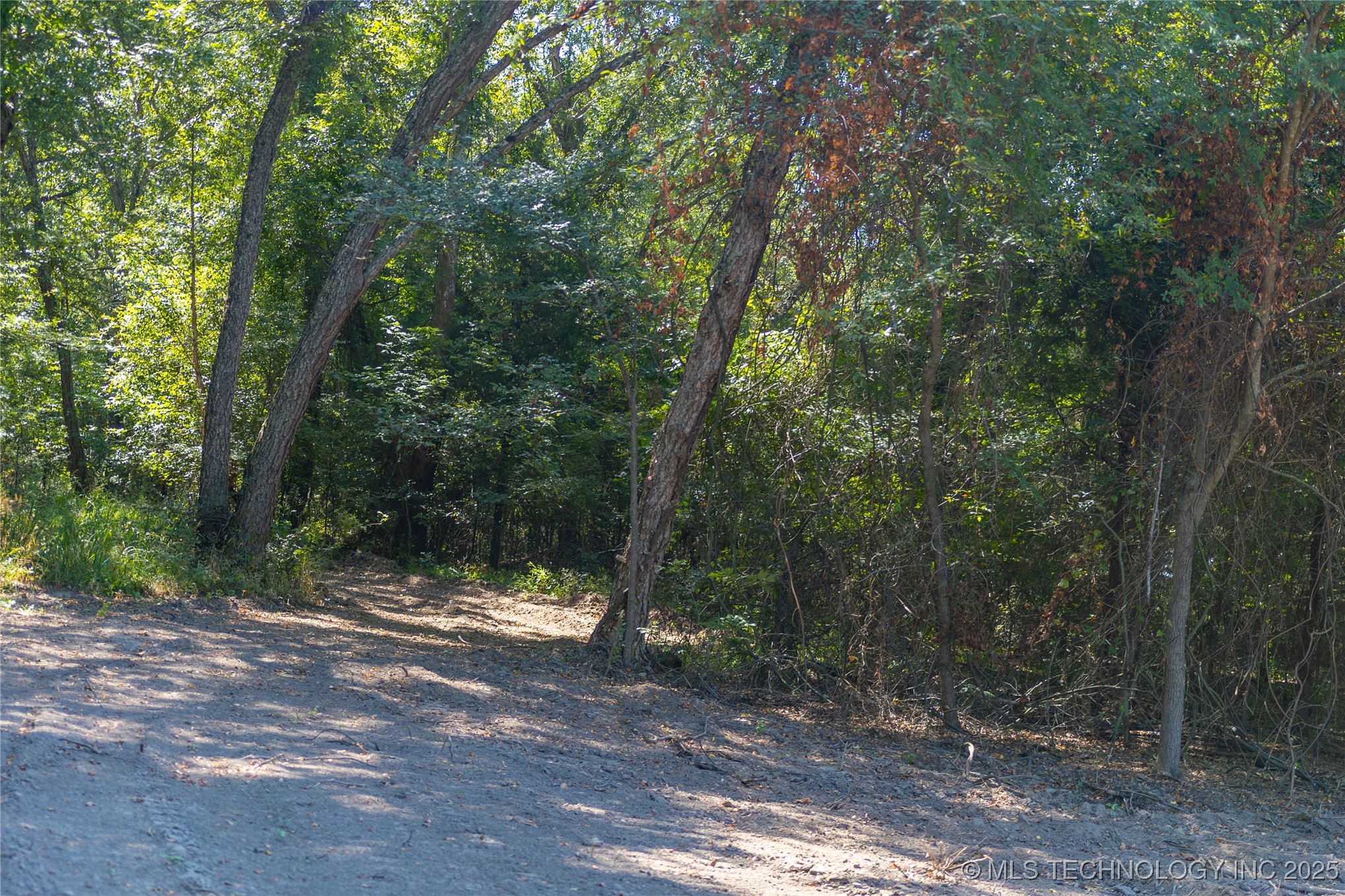 17500 County Road 3762 Property Photo 6