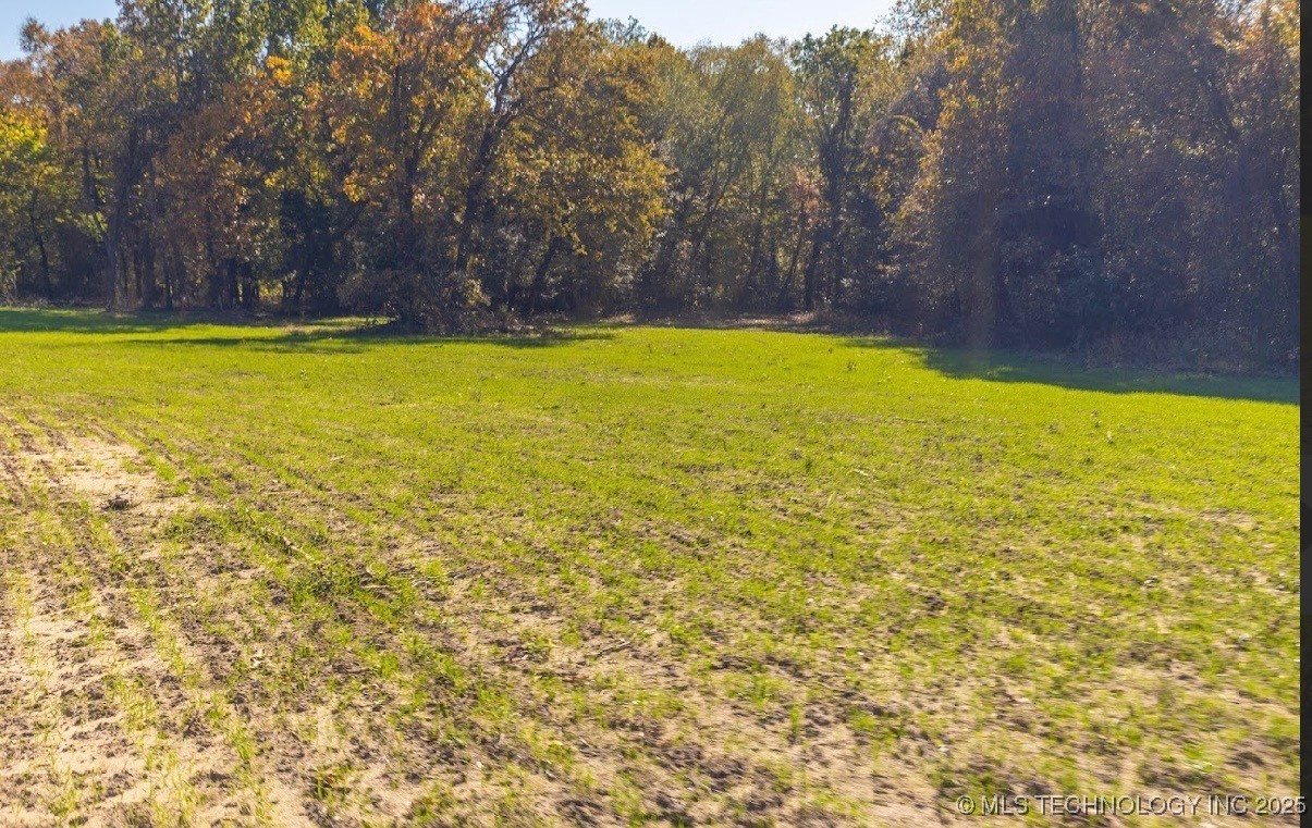 17500 County Road 3762 Property Photo 12