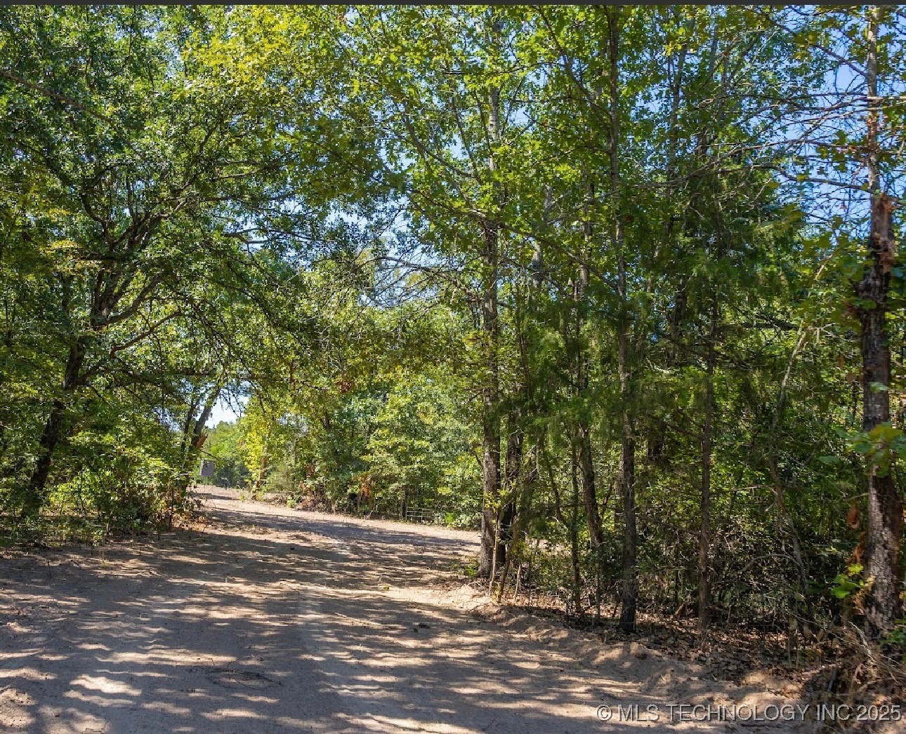 17500 County Road 3762 Property Photo 17