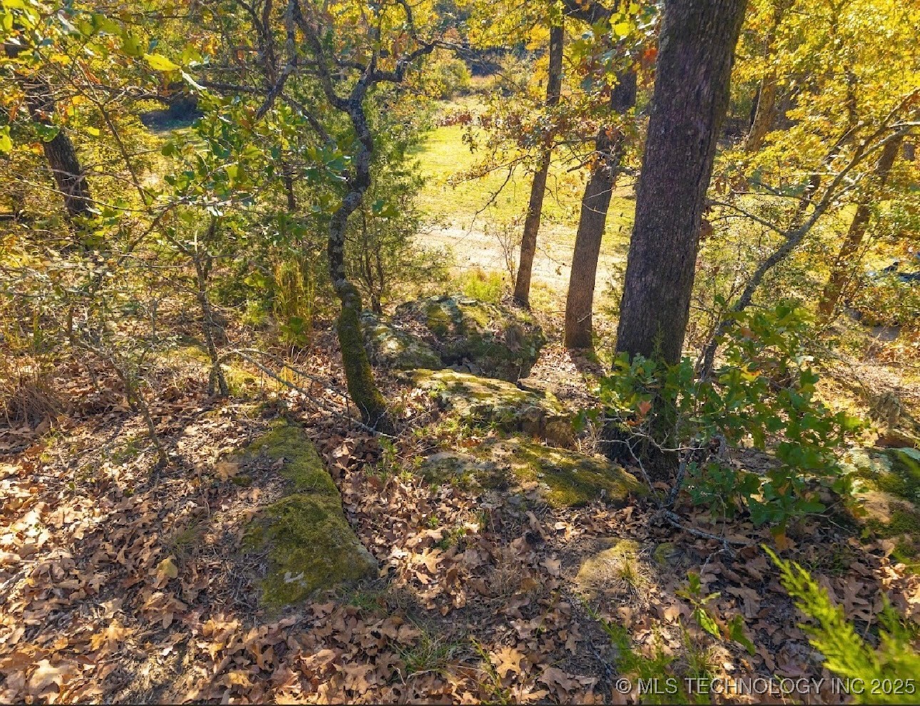 17500 County Road 3762 Property Photo 18