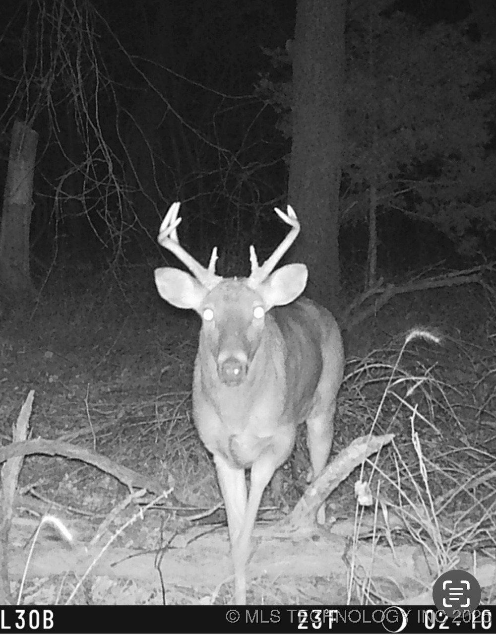 E 140th Road Property Photo 1