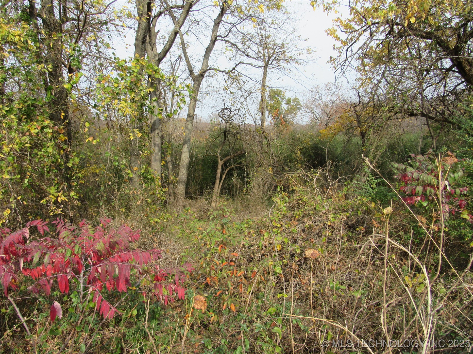 2nd Property Photo 3