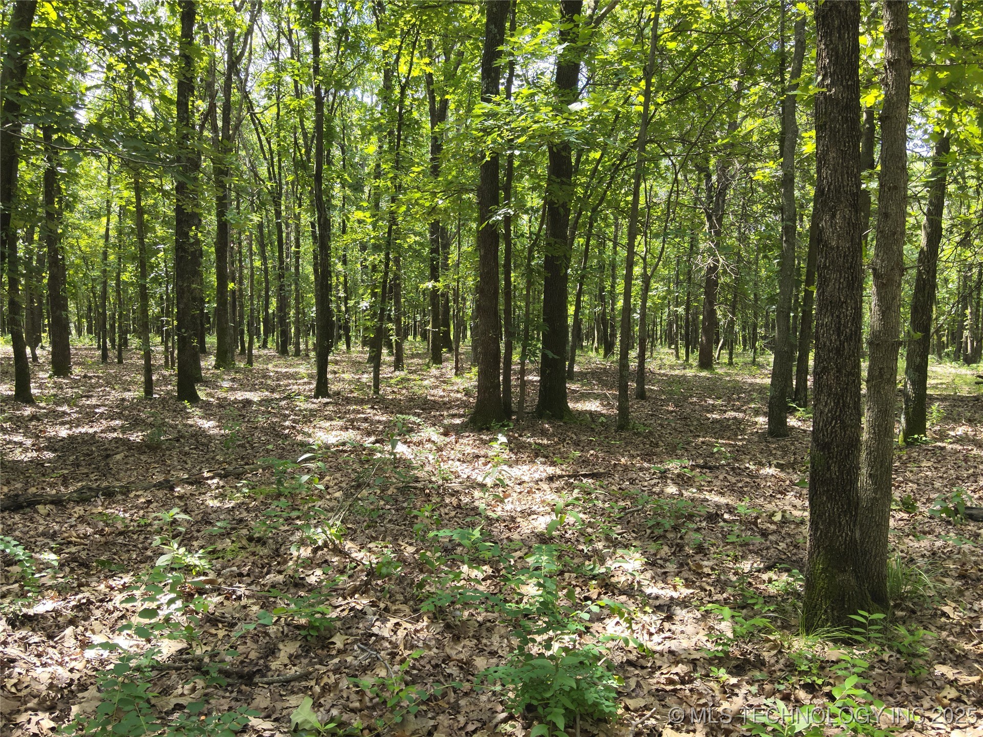 310 Road Property Photo 6