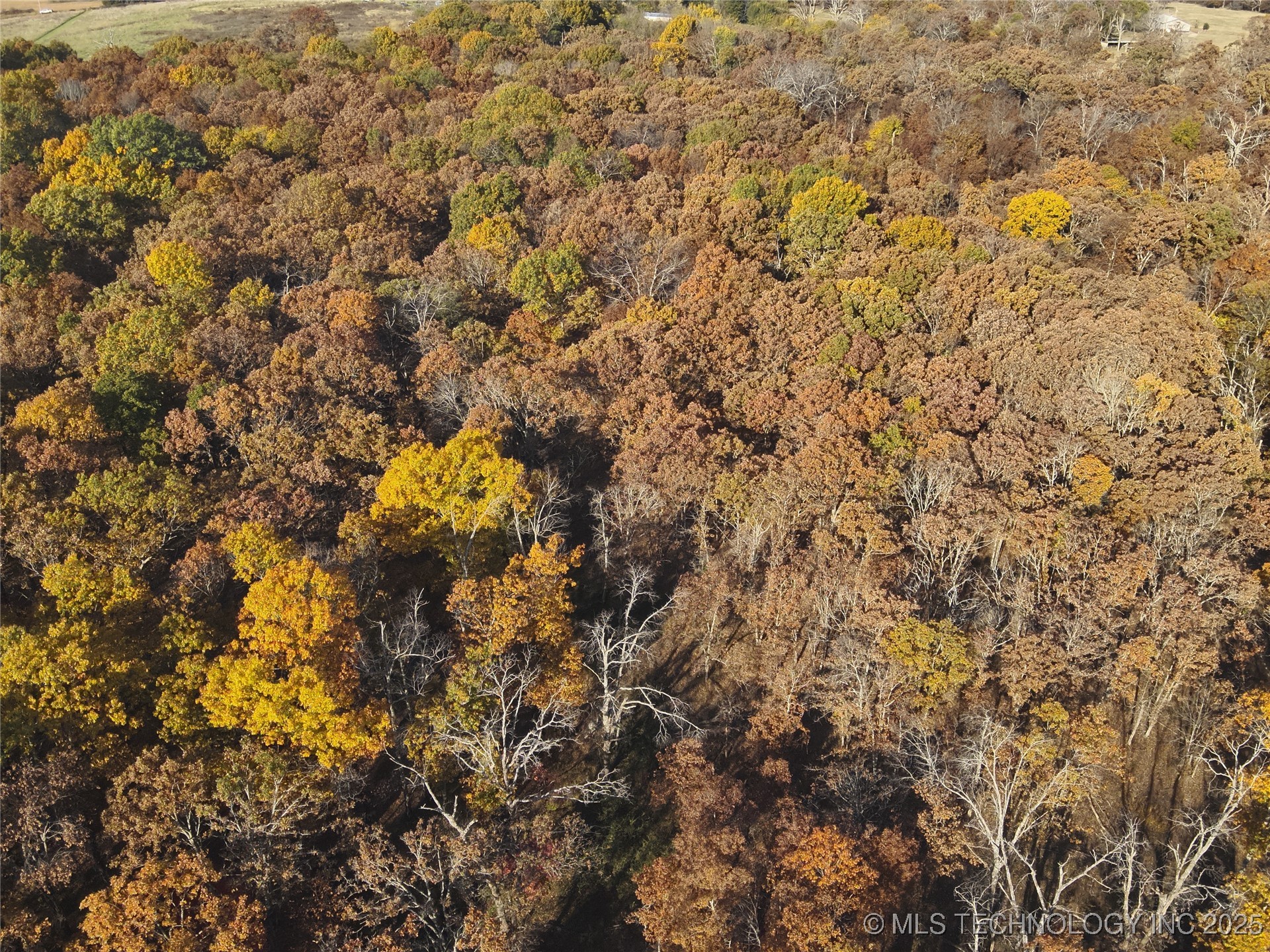 4290 Road Property Photo 8