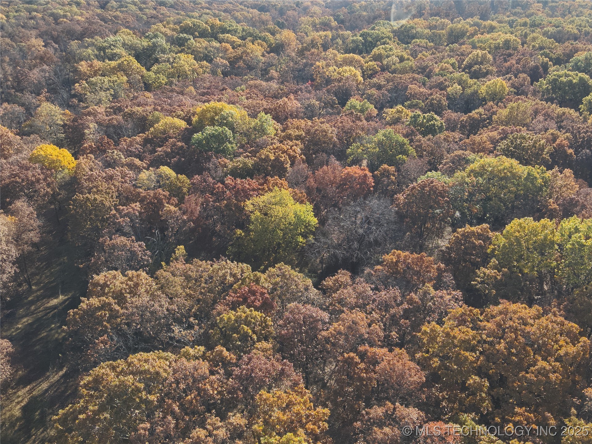 4290 Road Property Photo 11