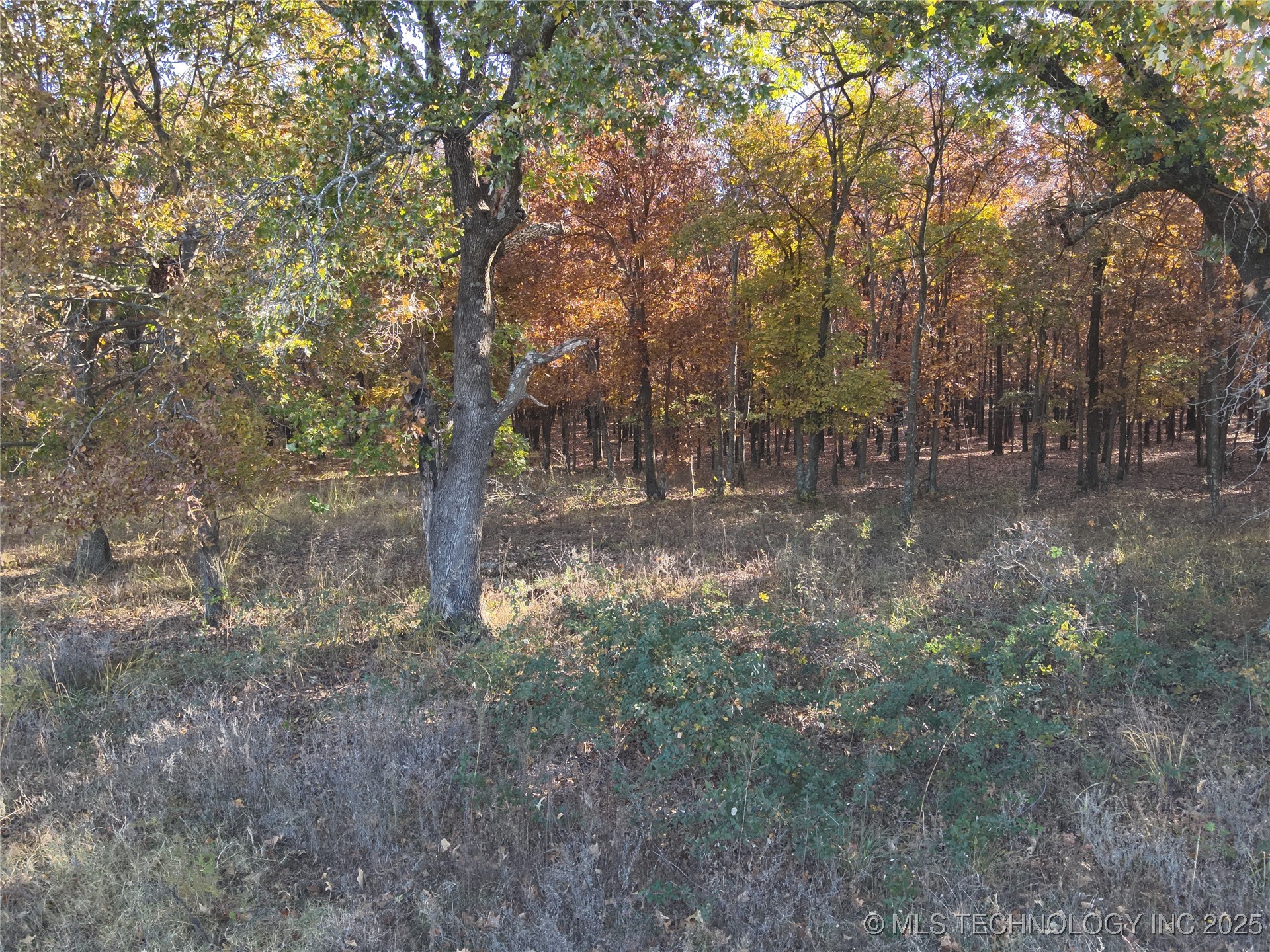 4290 Road Property Photo 12