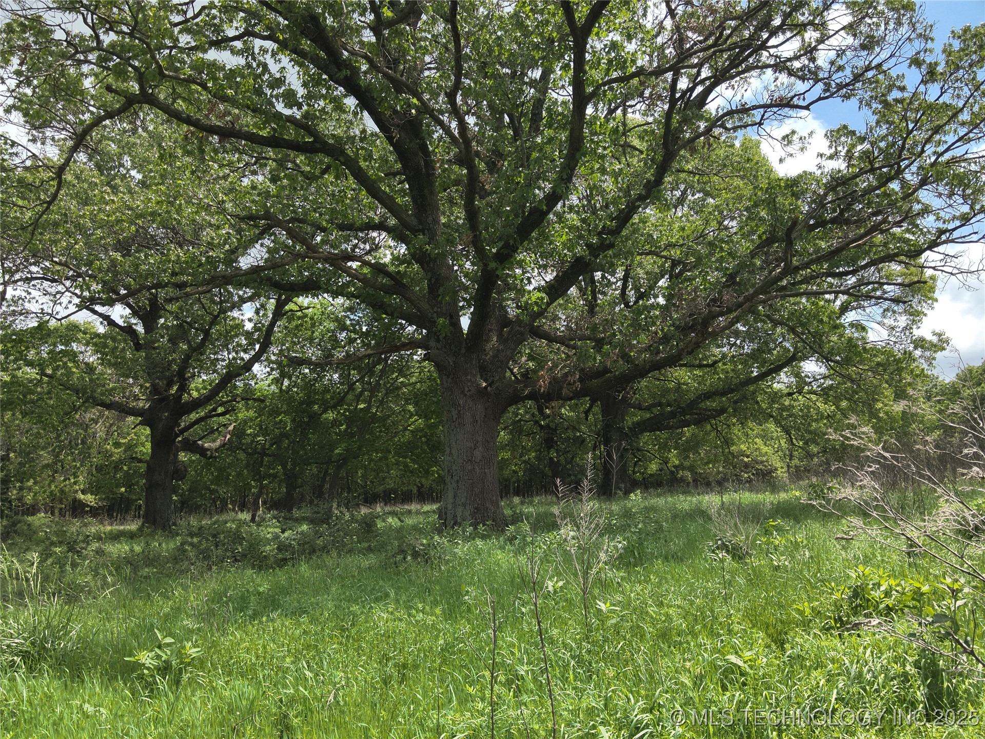 4290 Road Property Photo 19