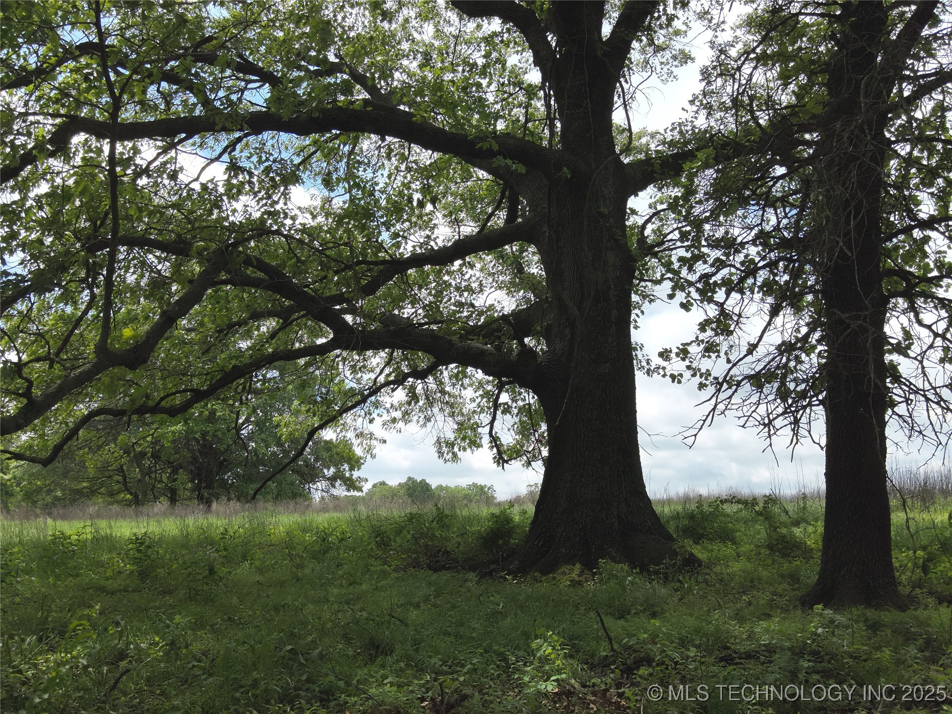 4290 Road Property Photo 20