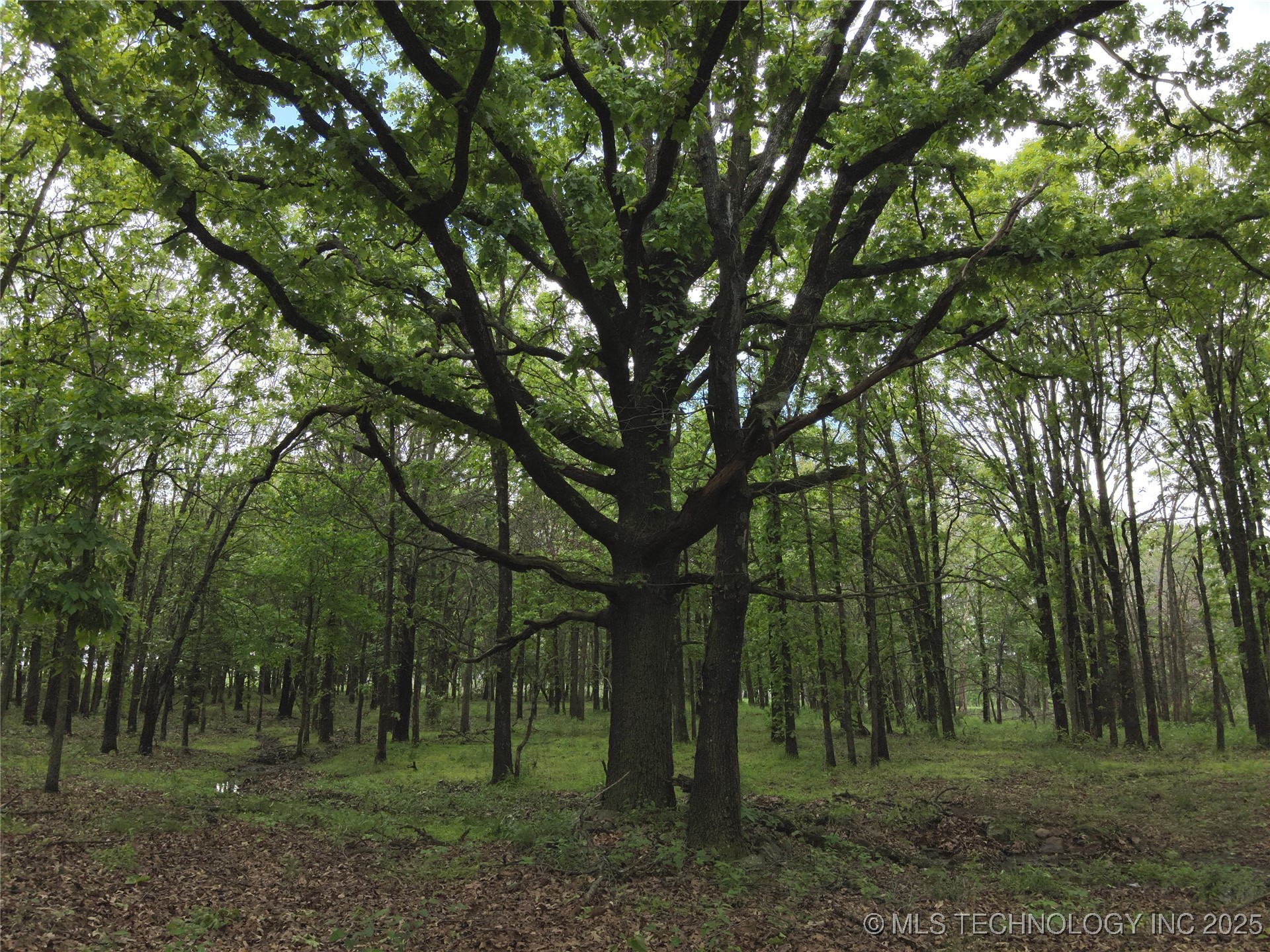 4290 Road Property Photo 21