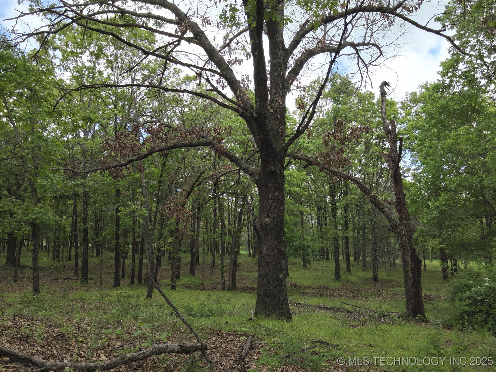 4290 Road Property Photo 22