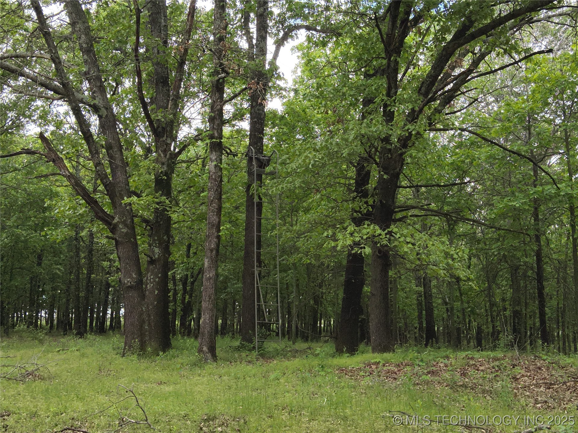 4290 Road Property Photo 23