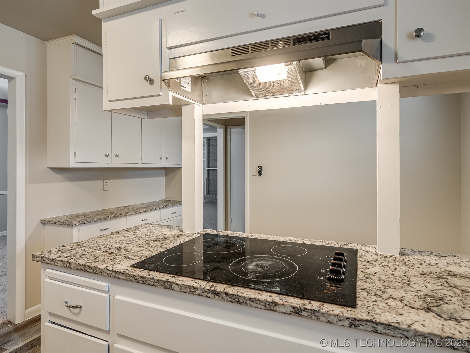 1737 E 56th Street Property Photo 25