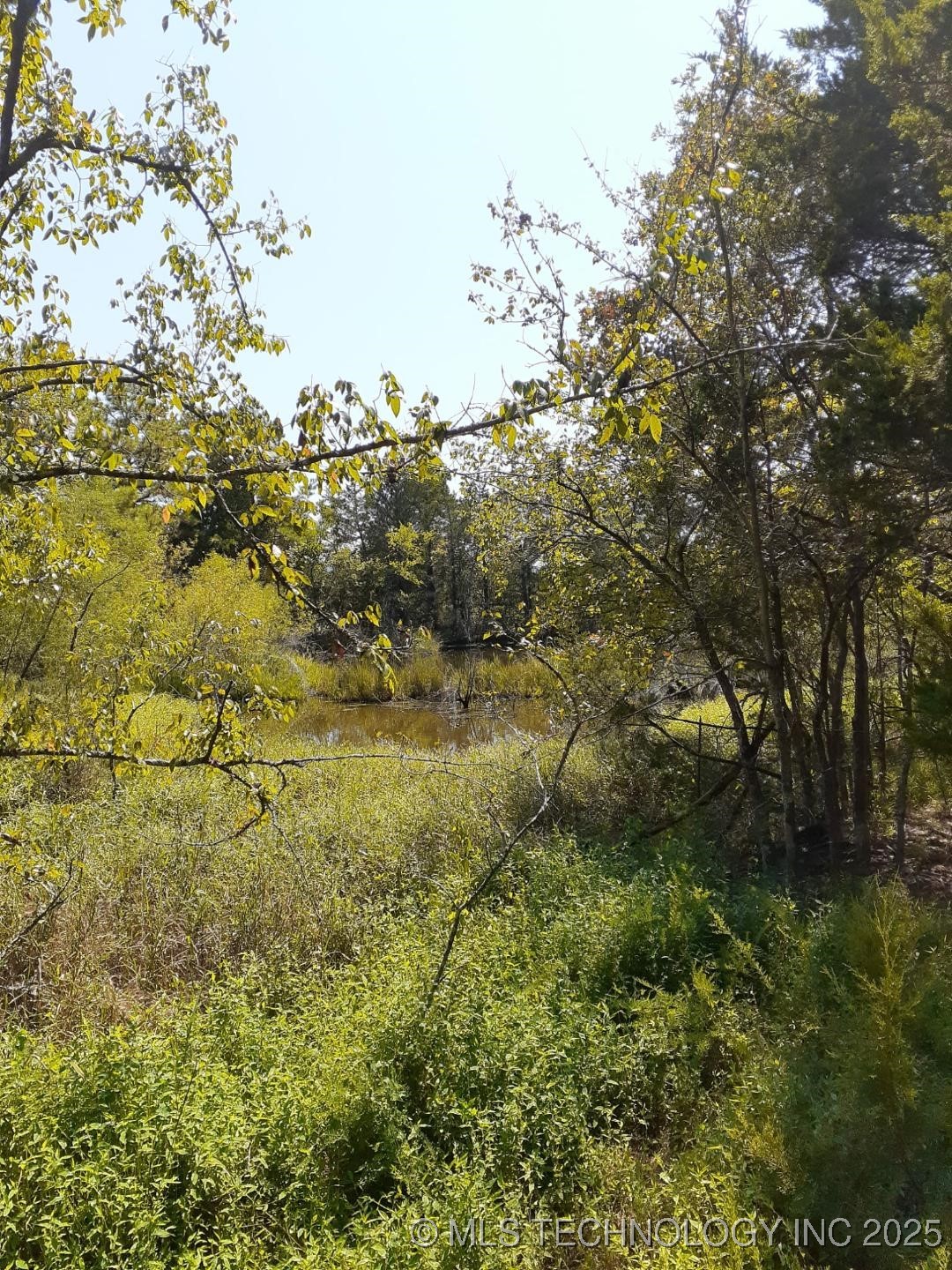 Cooper Bend Property Photo 3