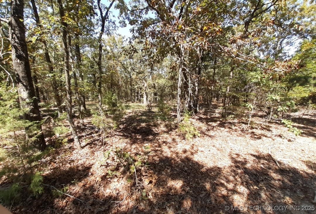 Cooper Bend Property Photo 5
